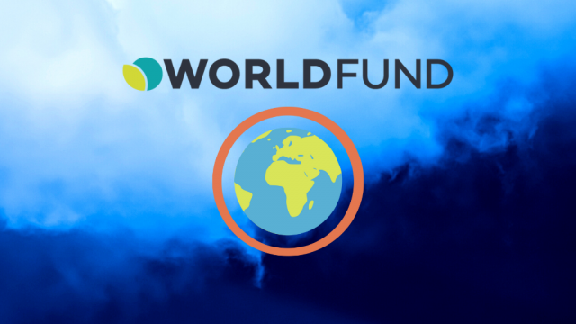 World fund startup